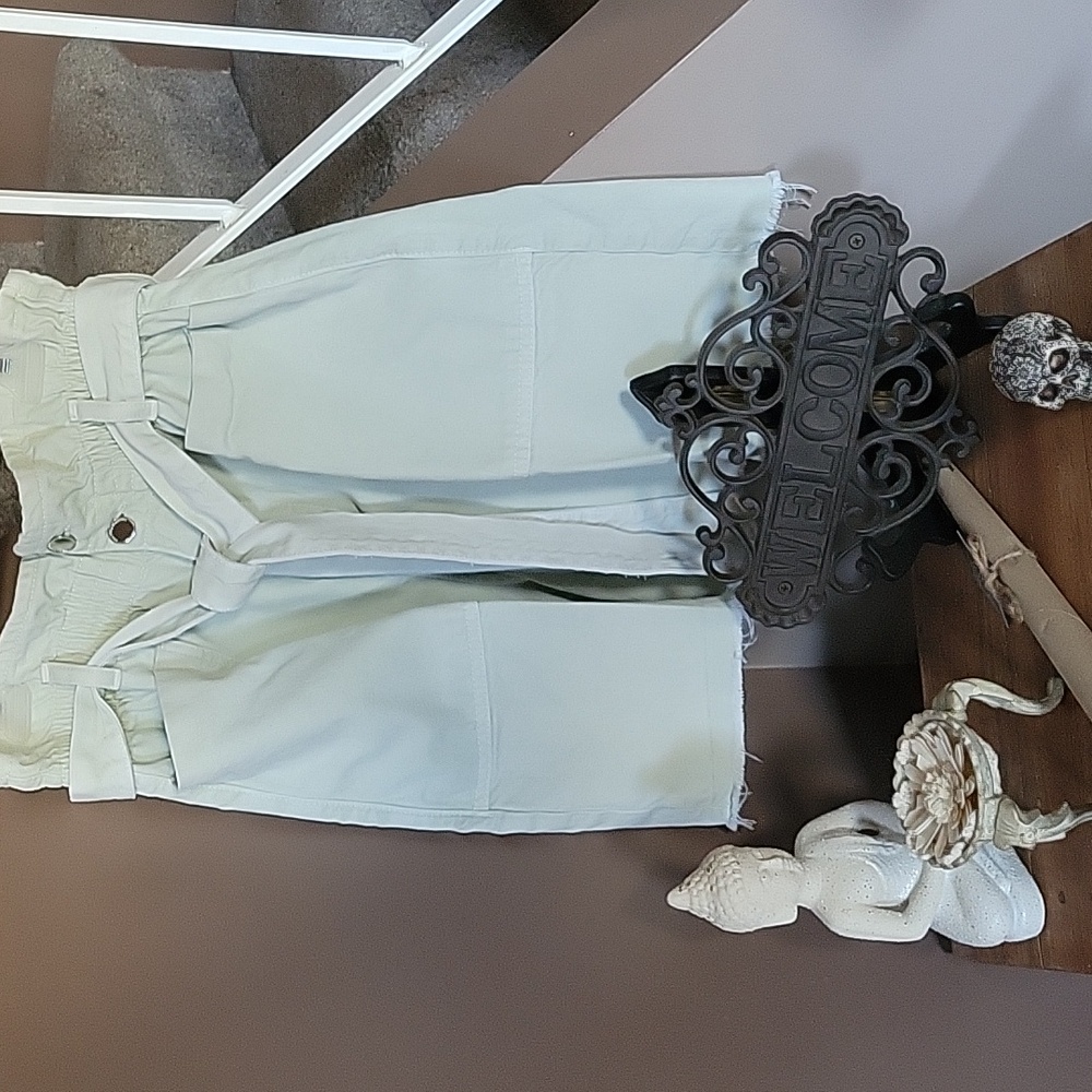 Zara Light Green Jean Shorts